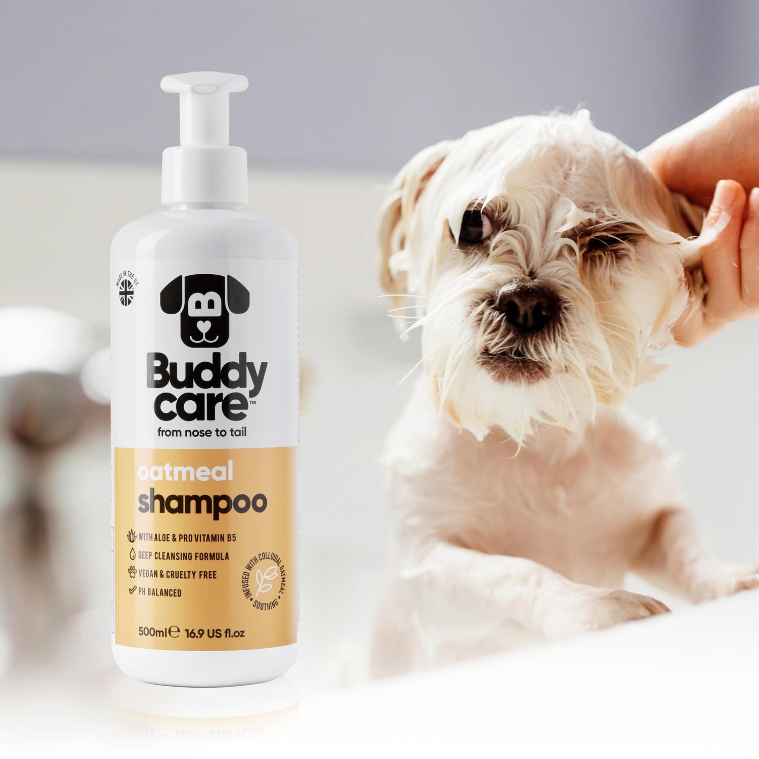 Oatmeal Dog Shampoo by Buddycare