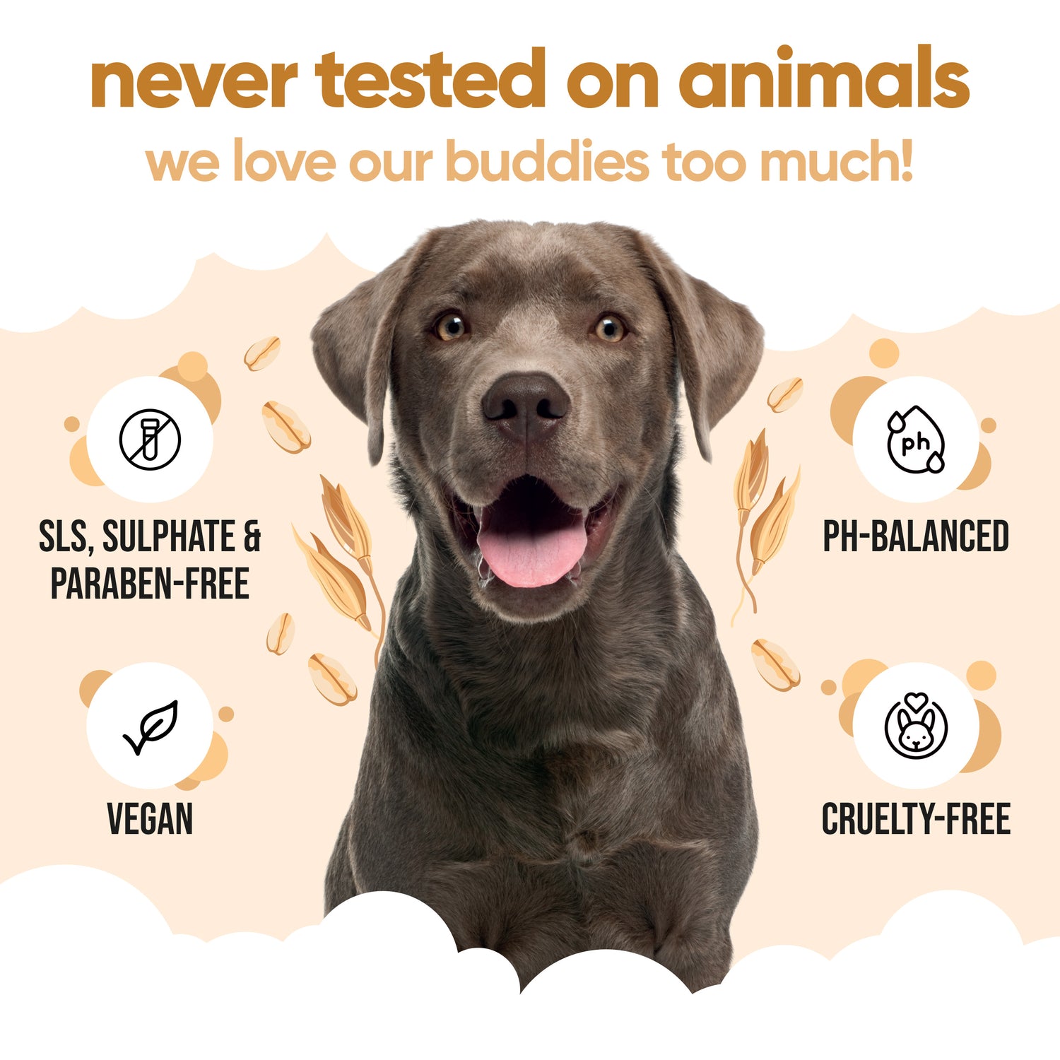 Oatmeal Dog Shampoo by Buddycare