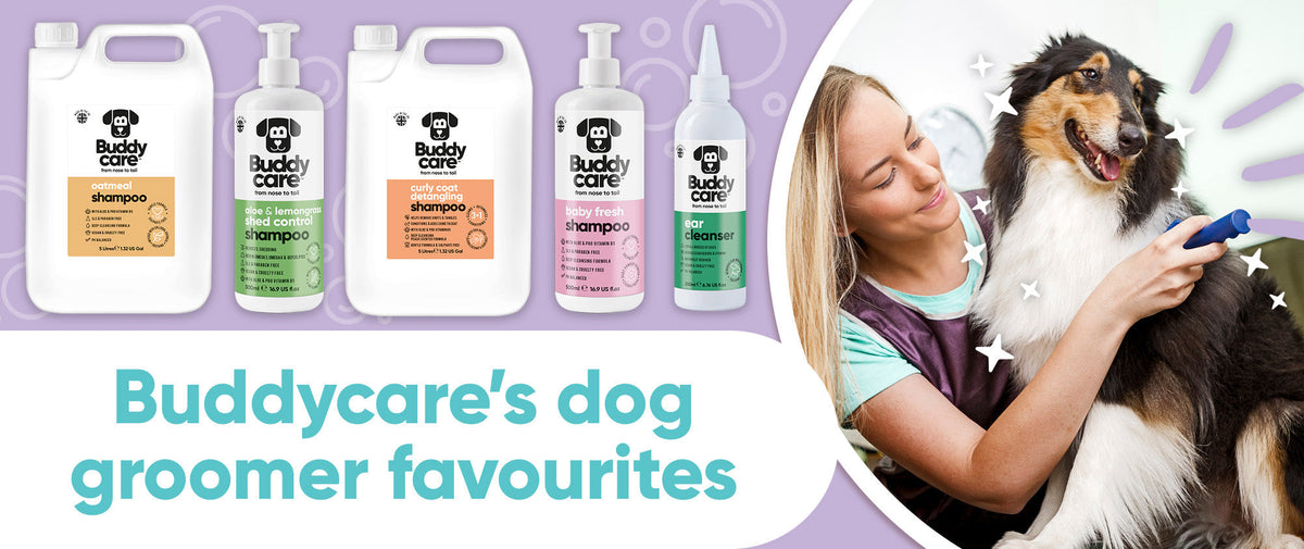 What Are The Pawfessionals Using?! 🐶🐾