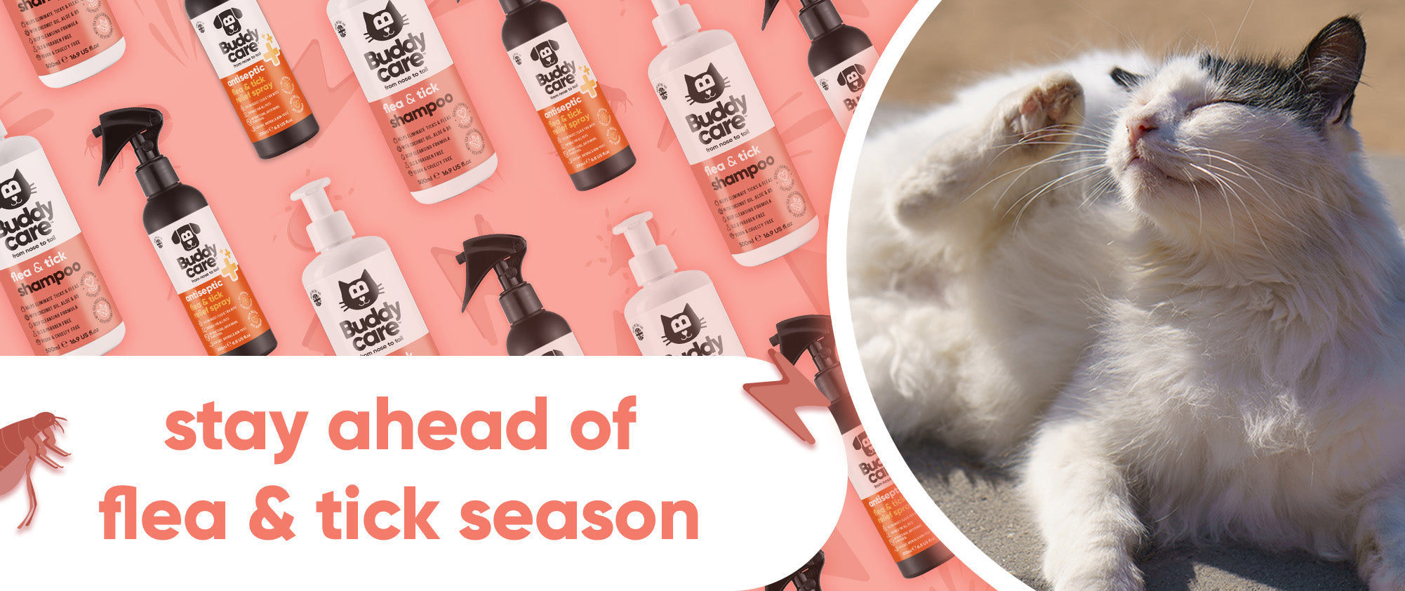 Cat Flea & Tick Season: How to Keep Your Cat Comfortable This Summer 🐱🪳