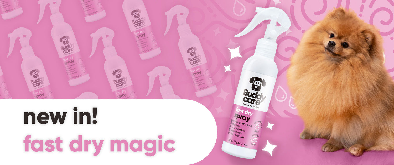 https://buddycare.co.uk/collections/dog-care/products/fast-dry-spray