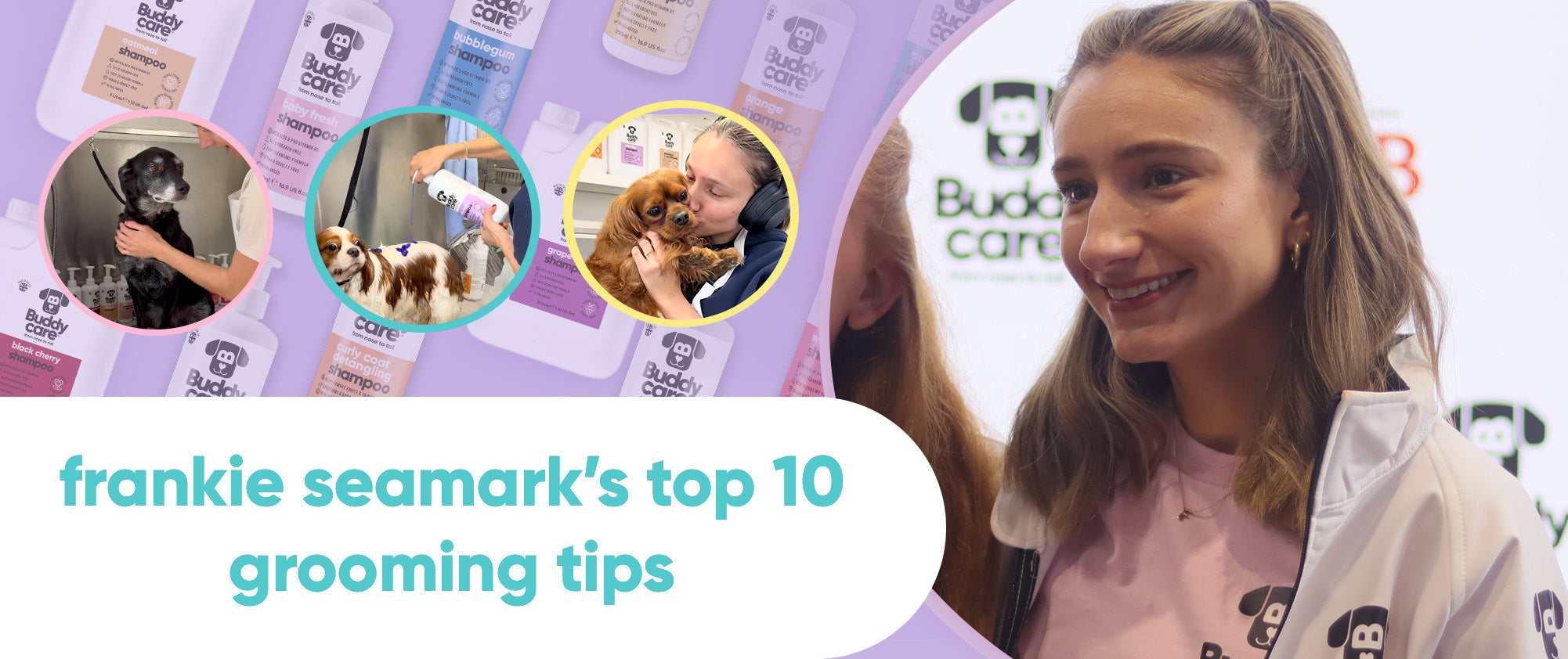 Top 10 Dog Grooming Tips from Frankie Seamark (Henry's House) 🐶🛁