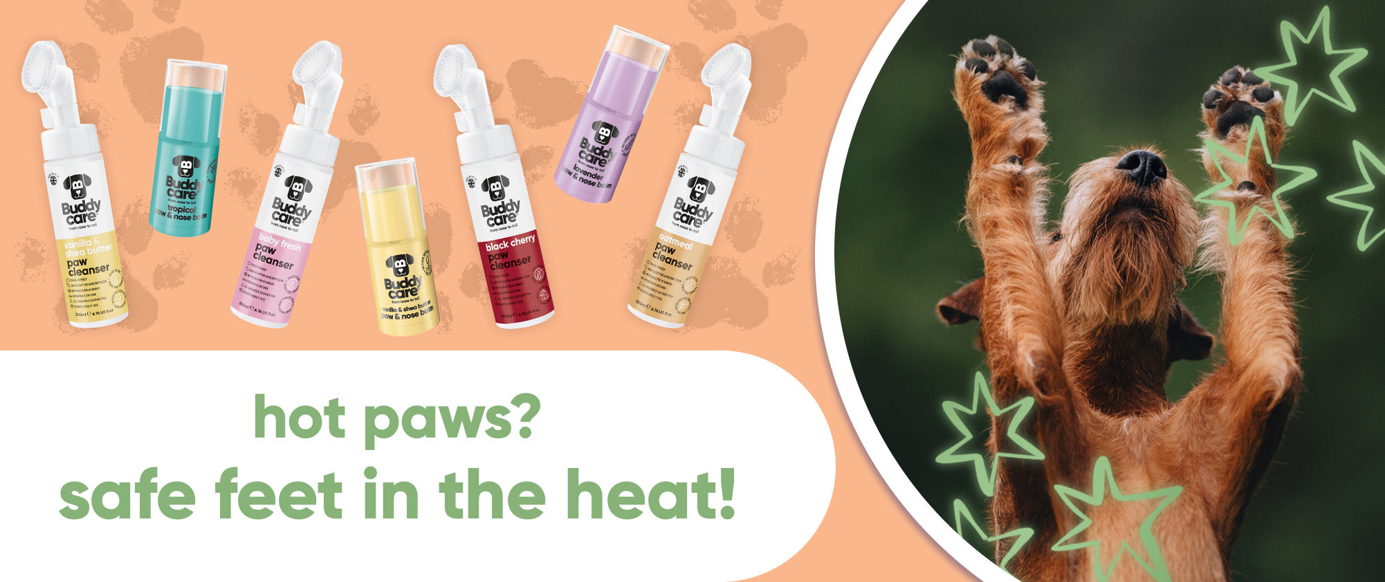 The Ultimate Summer Paw Care Routine for Dogs 🐾 🐶