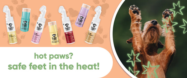 The Ultimate Summer Paw Care Routine for Dogs 🐾 🐶