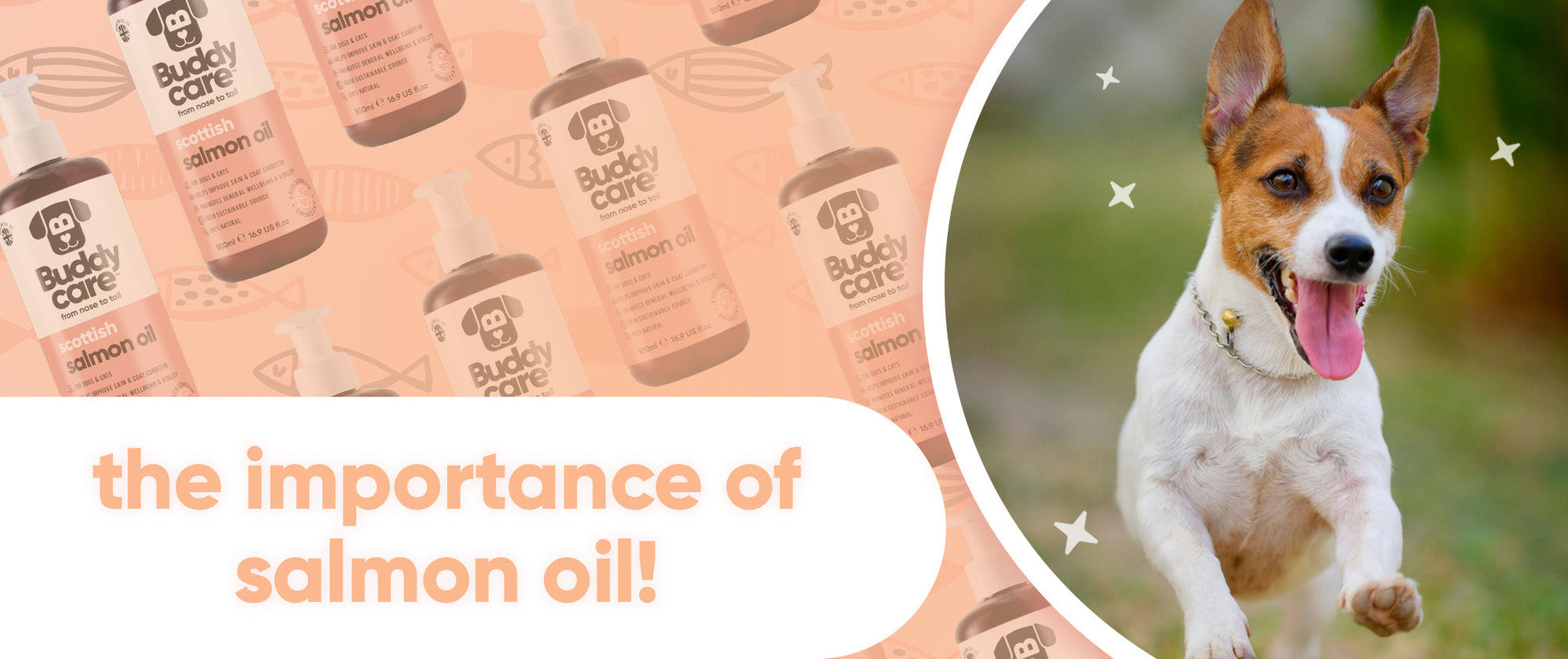 The Importance of Salmon Oil For Your Pets 🐟🧡
