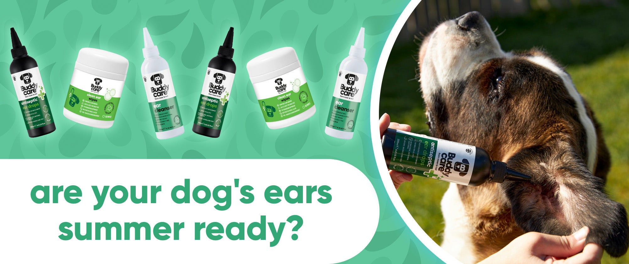 Are Your Dog's Ears Summer Ready? 🐶