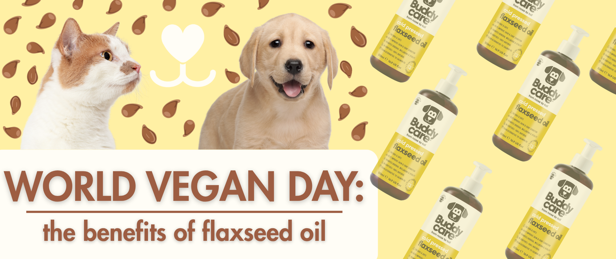 World Vegan Day: The Benefits of Flaxseed Oil 🌱