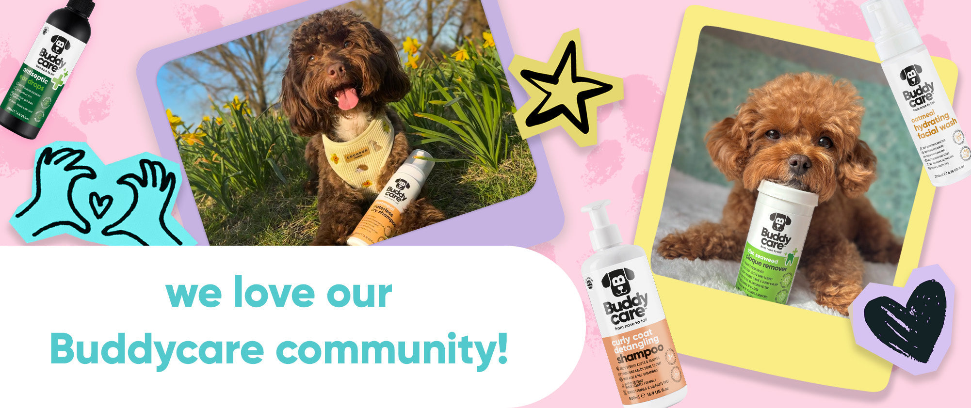 We Love Our Buddycare Community 🐶🐾