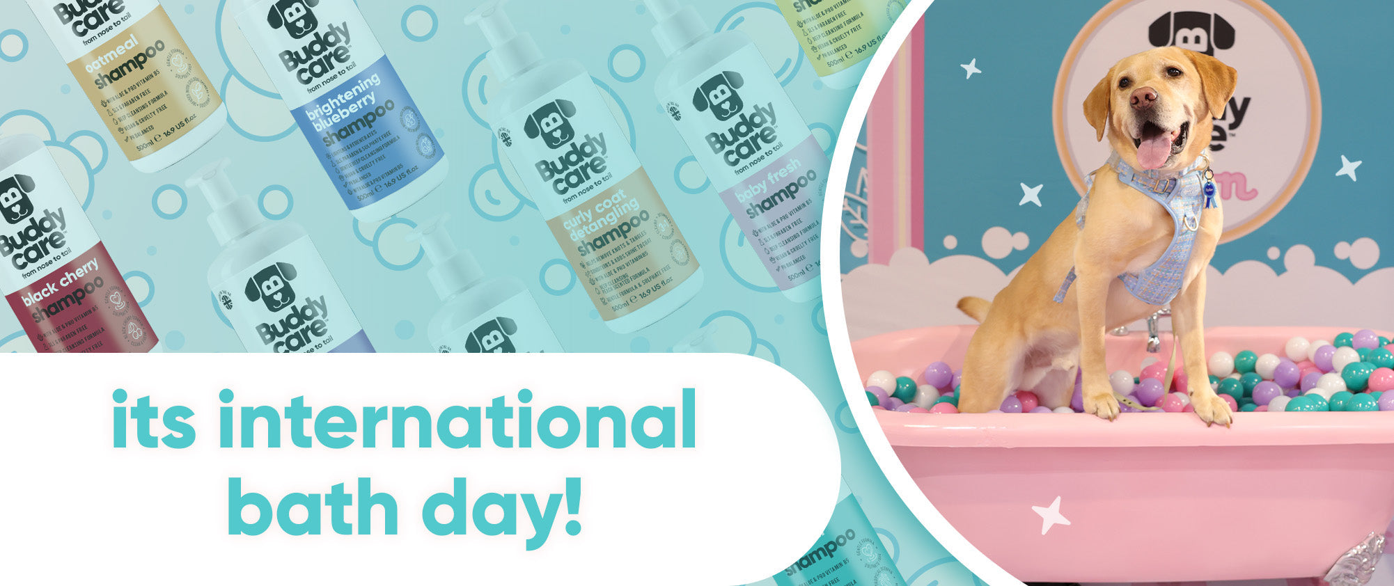 International Bath Day 🛁🐶