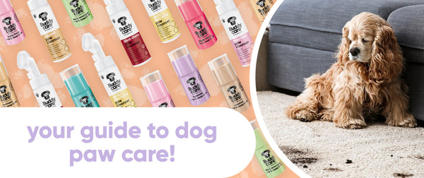 Mud Happens! How to Tackle Those Muddy Paws 🐶🐾