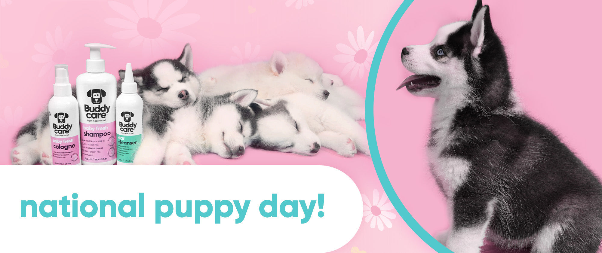 Happy National Puppy Day! Tips of How to Keep Your Pup's Fur Looking Healthy with Buddycare 🐶