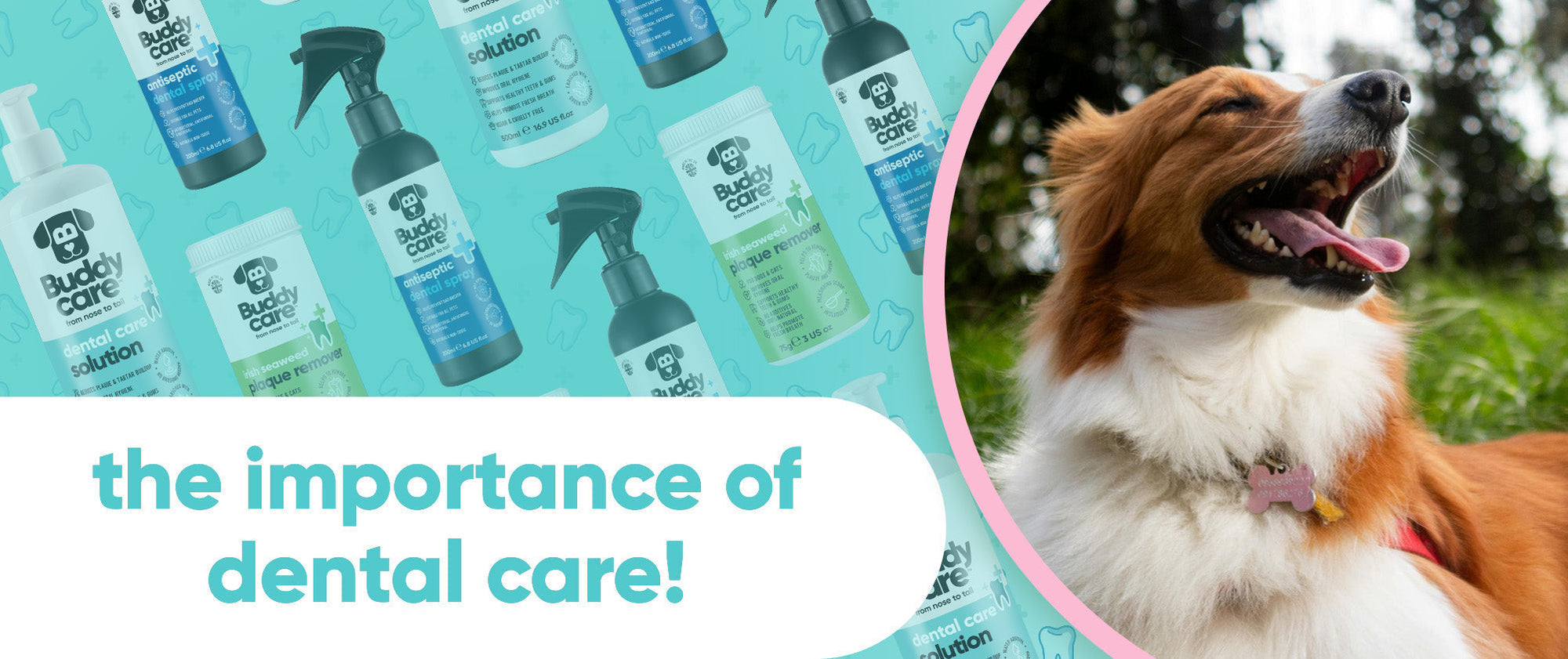 The Importance of Dental Care for Your Pets 🐶🐱🦷
