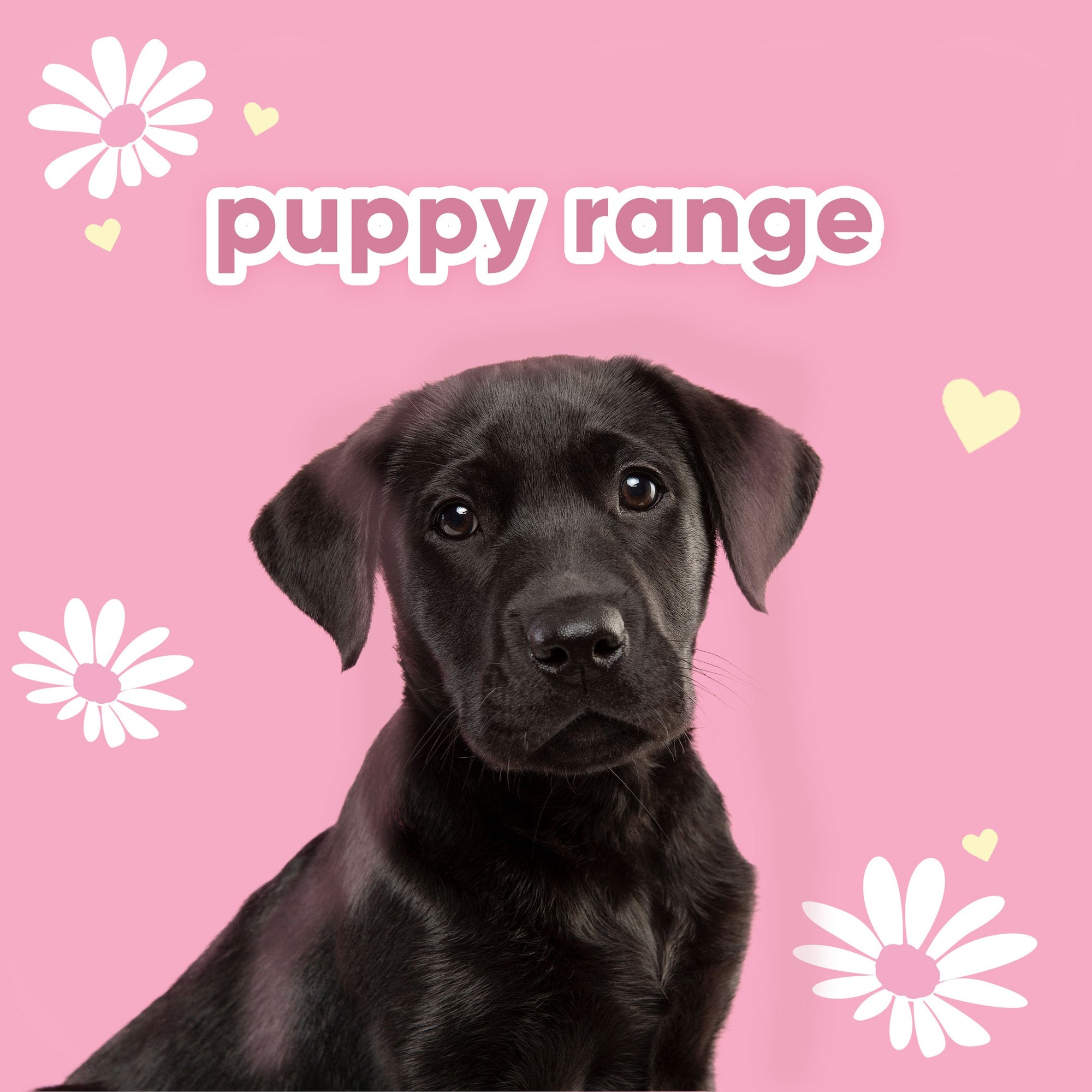 Puppy Pack