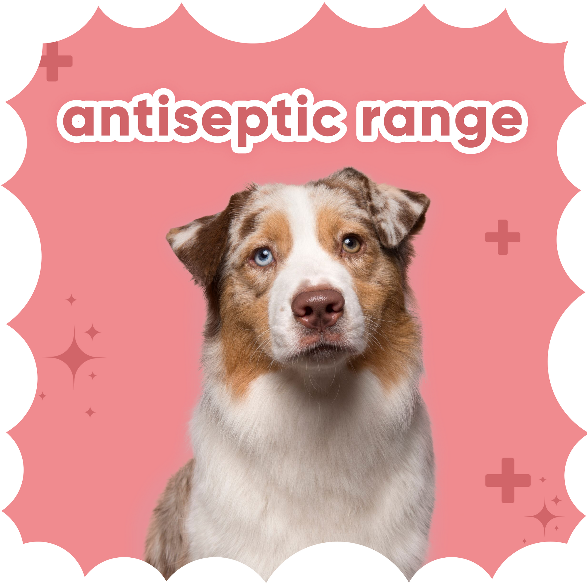 Antiseptic Range