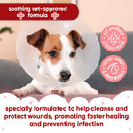 Pet Antiseptic First Aid & Wound Spray