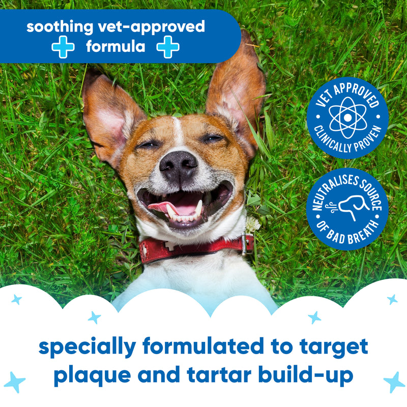 Pet Antiseptic Dental Spray