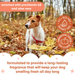Pumpkin Spice Dog Cologne