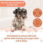Pumpkin Spice Dog Shampoo