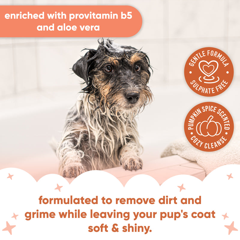 Pumpkin Spice Dog Shampoo