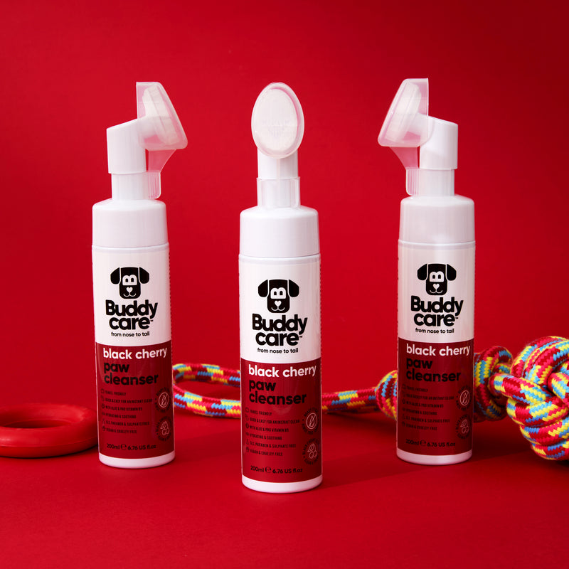 Black Cherry Paw Cleanser
