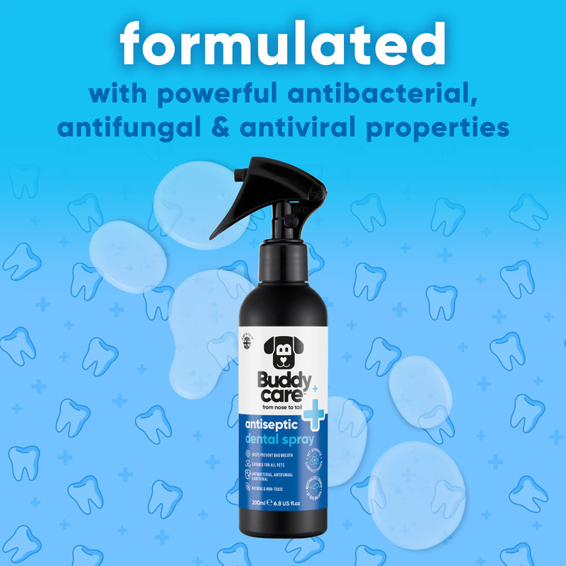 Pet Antiseptic Dental Spray