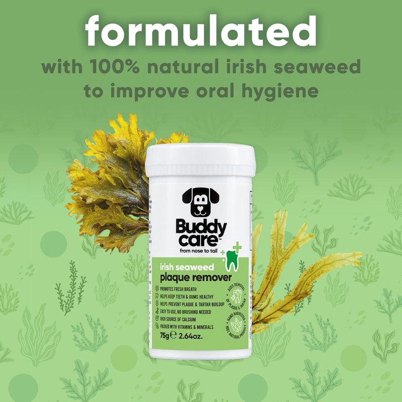 Irish Seaweed Plaque Remover