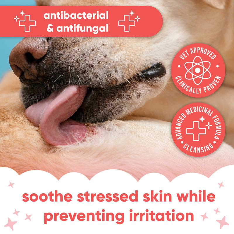 Chlorhexidine Medicated Wipes