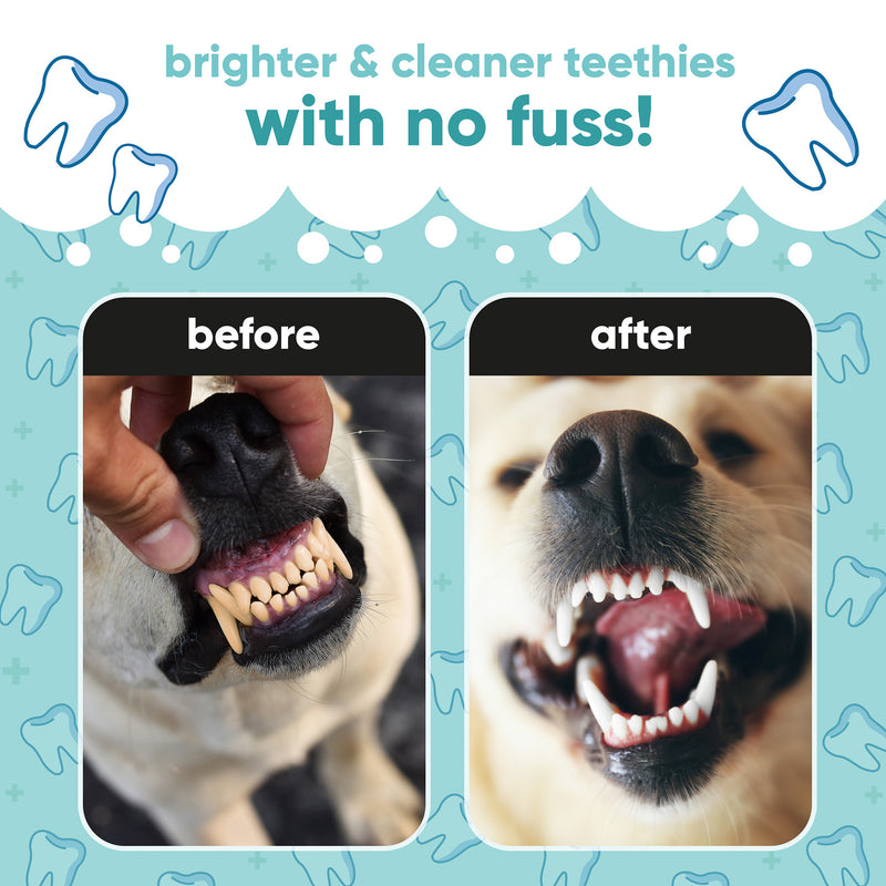 Dog Dental Care Solution