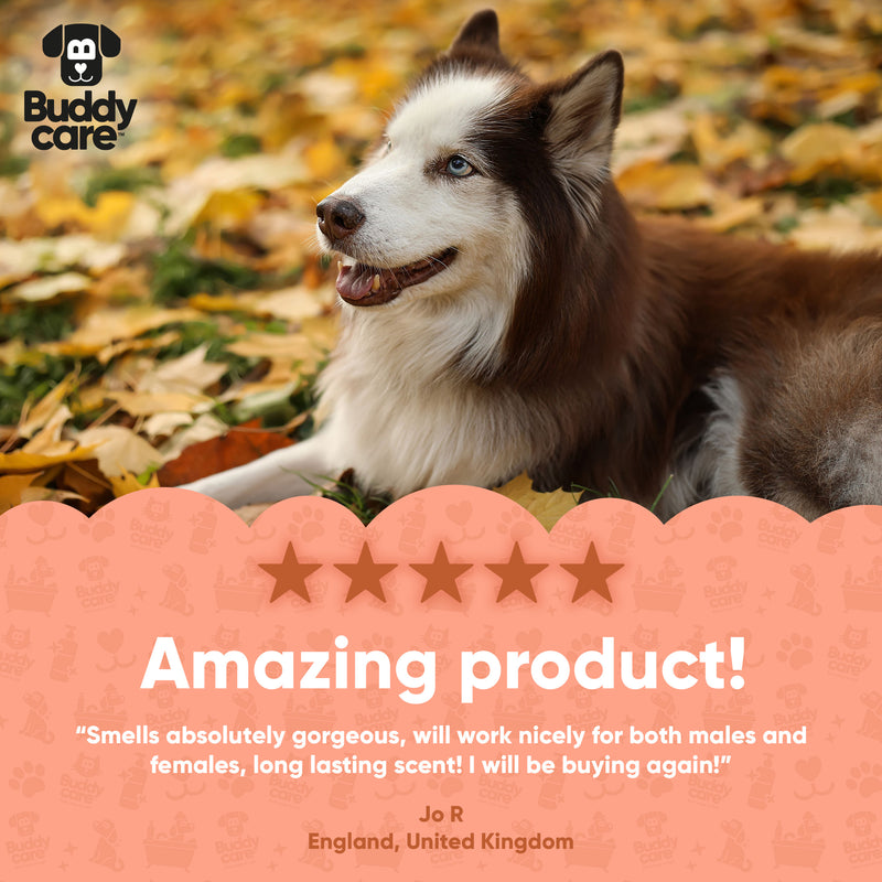Pumpkin Spice Dog Cologne