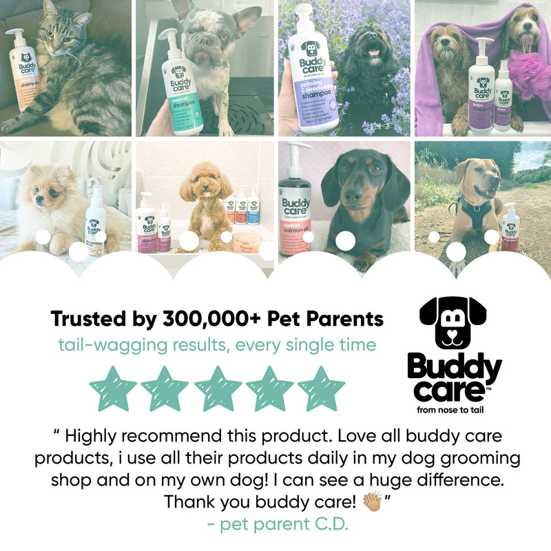 Dog Dental Care Solution