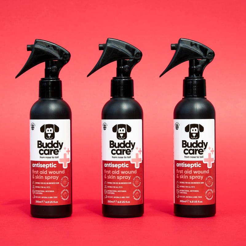 Pet Antiseptic First Aid & Wound Spray by Buddycare