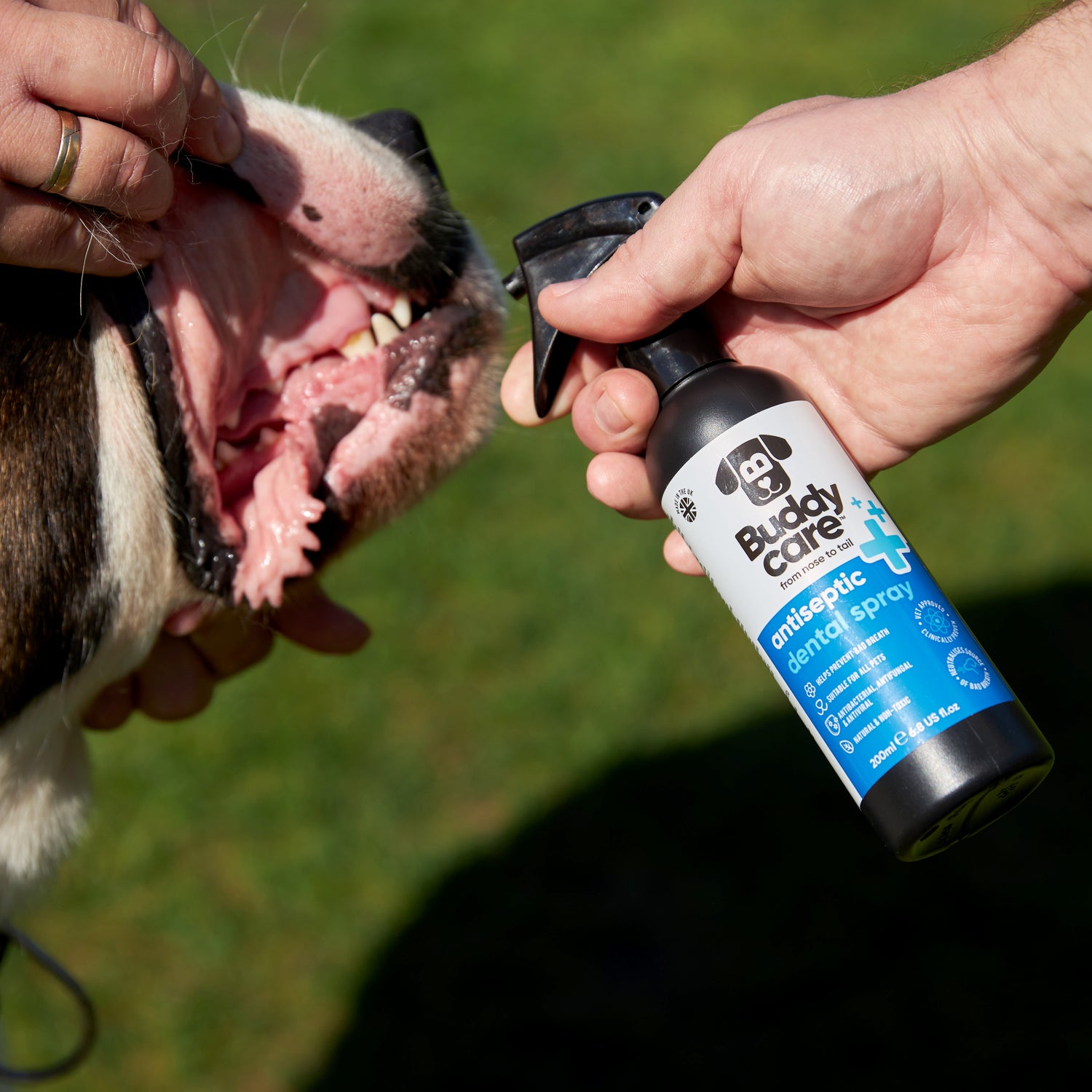 Pet Antiseptic Dental Spray