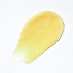 Vanilla & Shea Butter Paw & Nose Balm by Buddycare