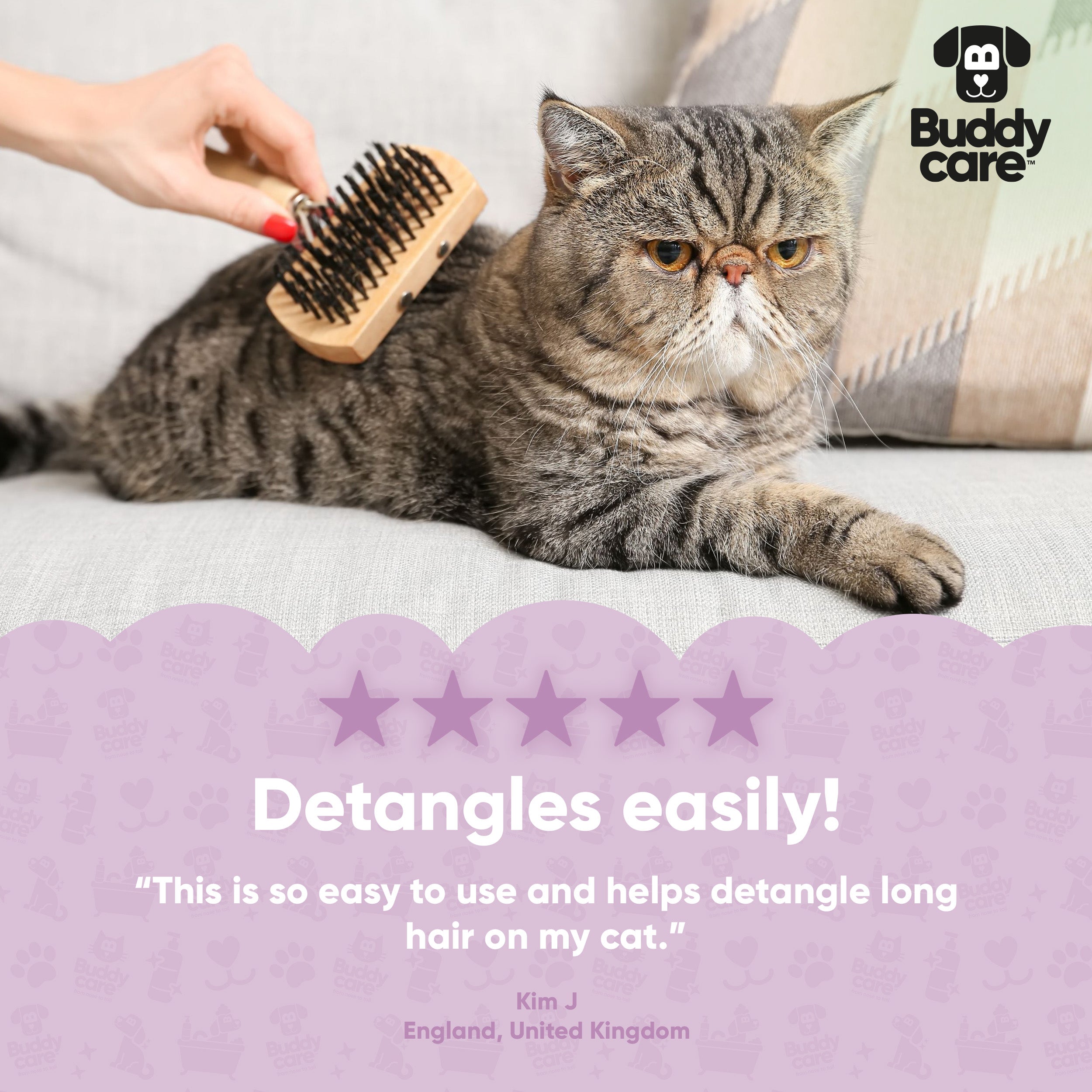 Cat Hydrating Detangling Spray