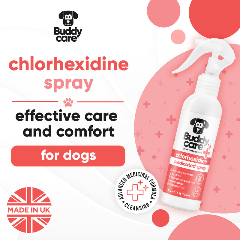 Pet Antiseptic Chlorhexidine Medicated Spray
