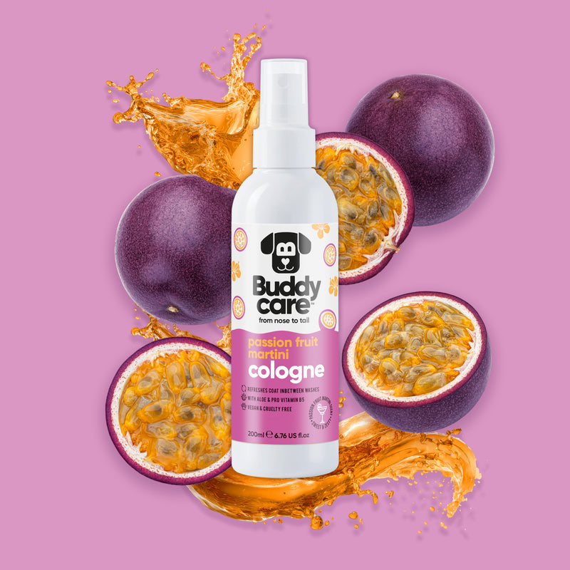 Passion Fruit Martini Bundle