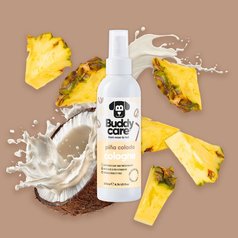 Pina Colada Bundle