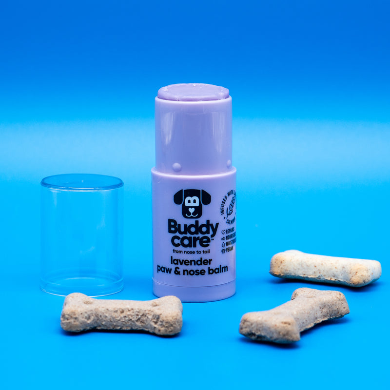 Lavender Paw & Nose Balm
