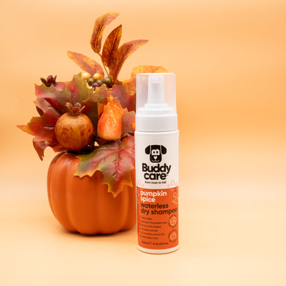 Pumpkin Spice Waterless Dry Dog Shampoo