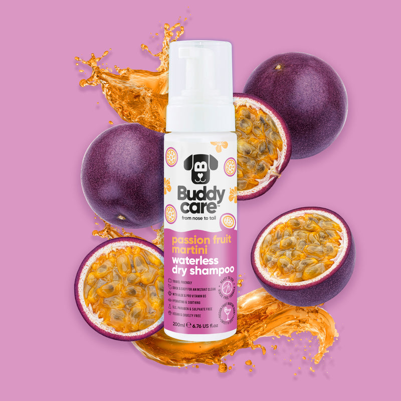 Passion Fruit Martini Bundle