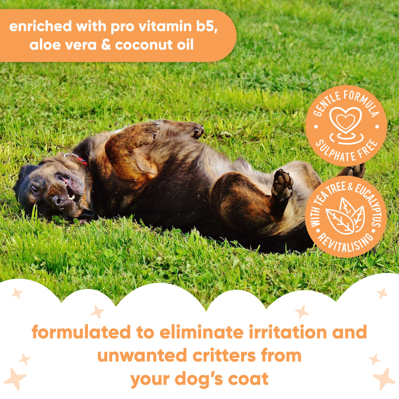 Flea & Tick Dog Shampoo