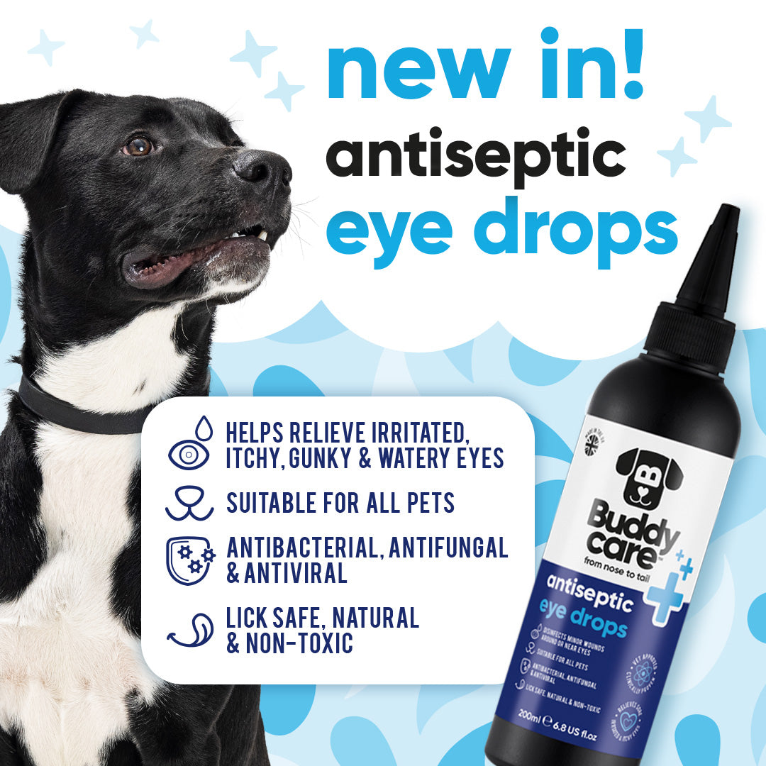 Pet Antiseptic Eye Drops - 60ml Pet Antiseptic Eye Drops - 60ml