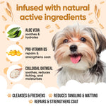Oatmeal Dog Shampoo by Buddycare