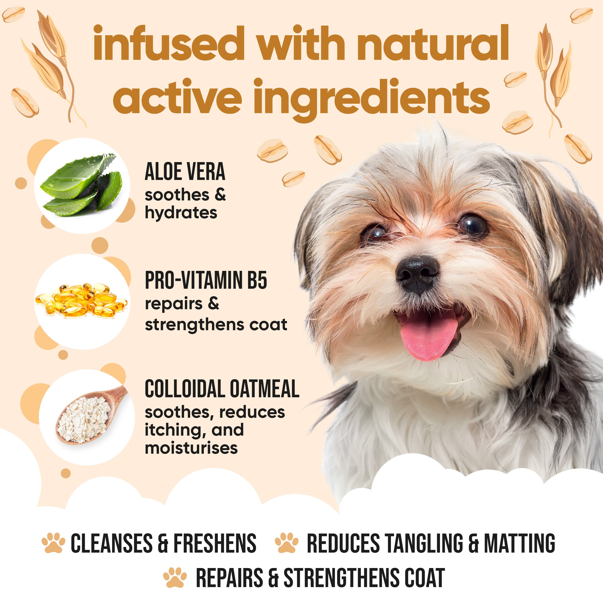 Oatmeal Dog Shampoo by Buddycare