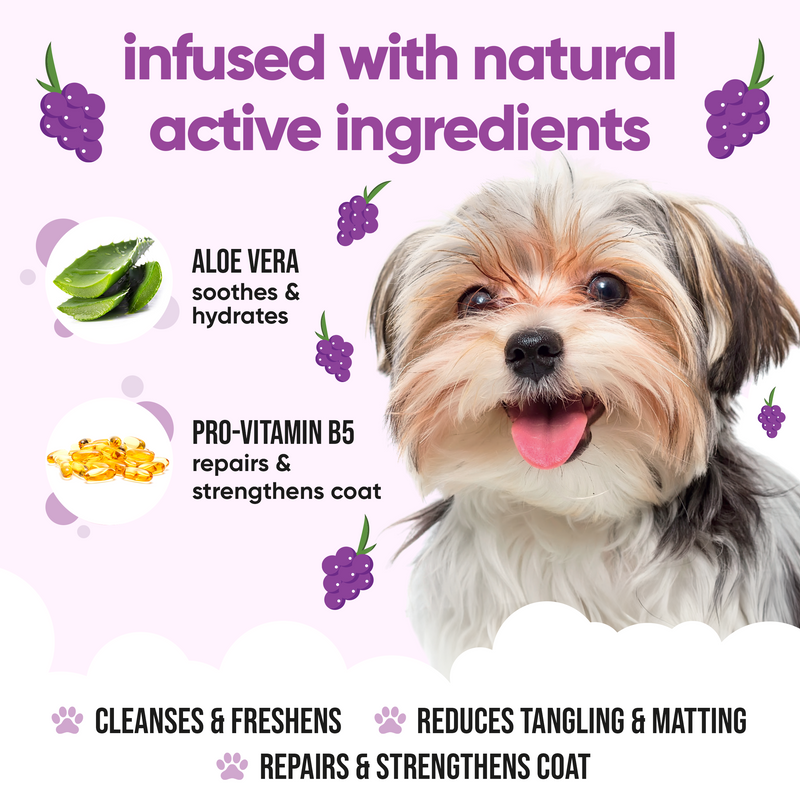 Grape Dog Shampoo by Buddycare