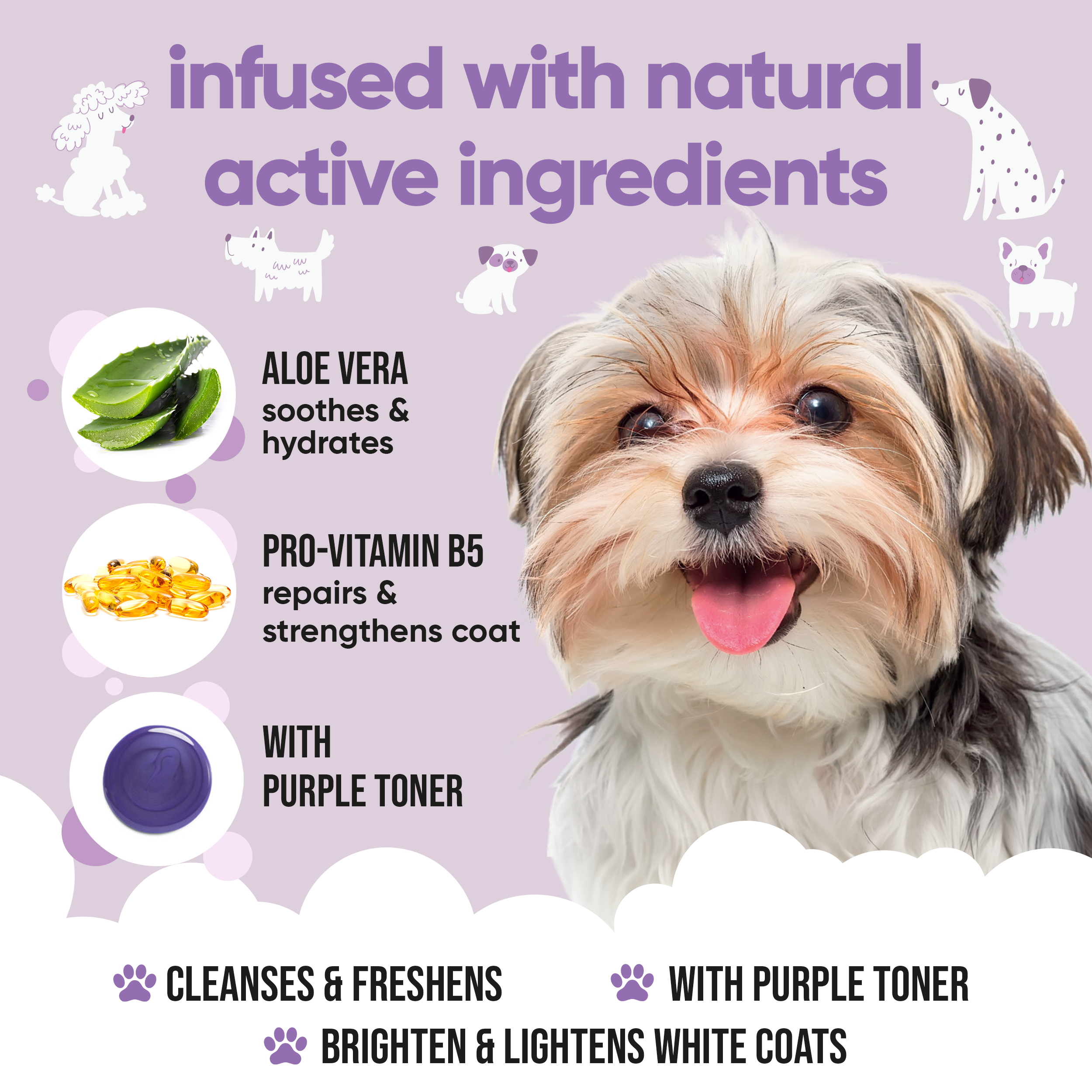 White Dog Shampoo