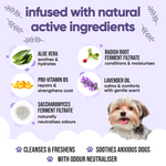 Calming & Deodorising Lavender Dog Shampoo