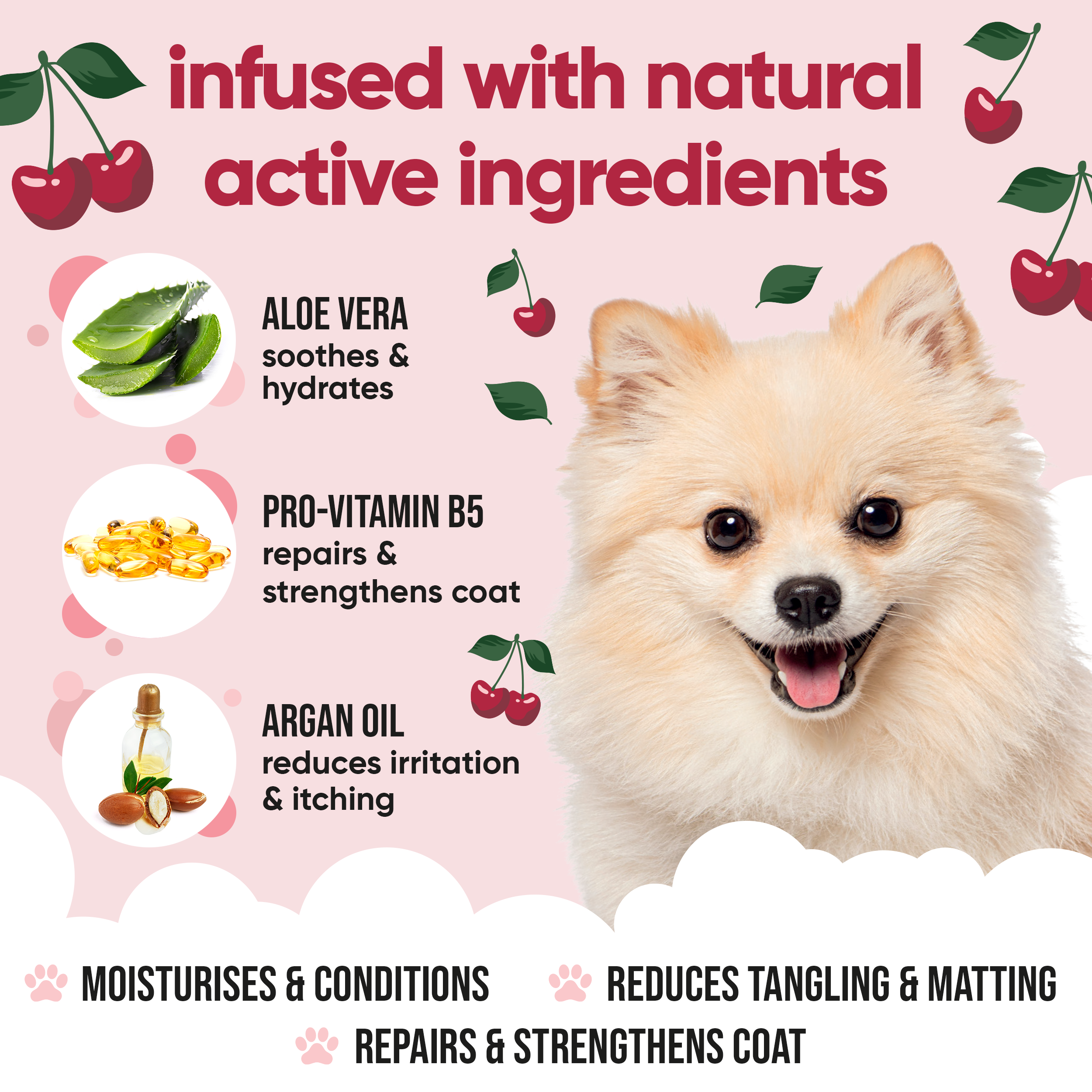 Black Cherry Dog Conditioner by Buddycare