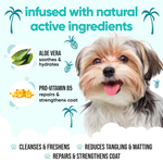 Tropical Dog Shampoo by Buddycare