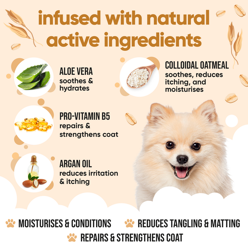 Oatmeal Dog Conditioner by Buddycare